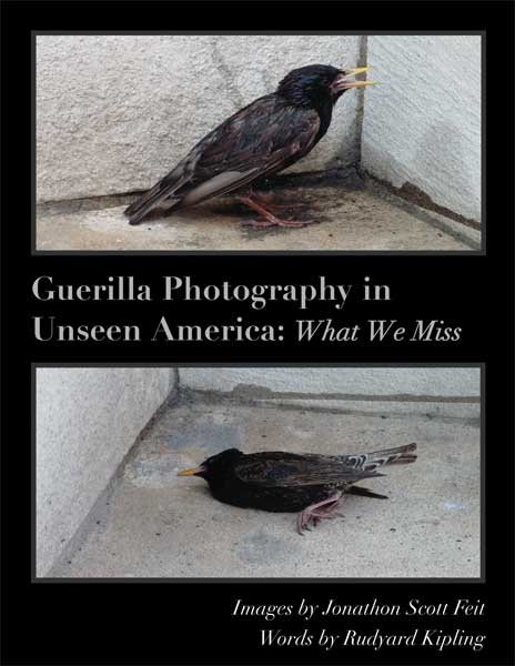 Cover - Unseen America